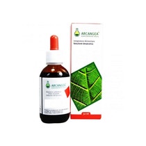 Arcangea Iperico Bio Hydroalkoholische Lösung 50ml-1