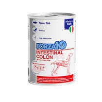 Forza10 Actiwet Intestinal Colon Nassfutter für erwachsene Hunde, 390 g Glas-1