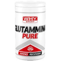 Why Sport Glutamine Pure 500g-1