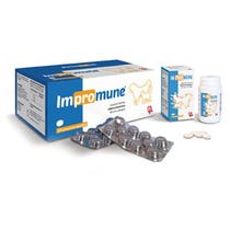 Ati Impromune 200 schmackhafte Tabletten für Hunde und Katzen-3