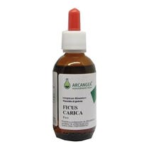 Arcangea Ficus Carica Bio 33 Grad Gemmoderivato 100ml-1