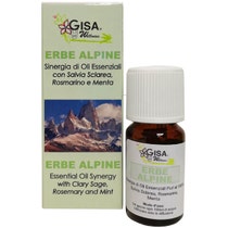 Sinergia Erbe Alpine 10ml-2