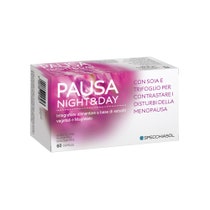 Pausa Night & Day 60 Capsule-4