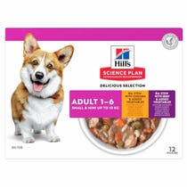 SP CANINE AD CHIC&SAL S&MIN12P-2