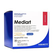 Yamamoto Research Mediart 30 Beutel-1