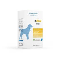 Dynamopet Dimood Großes Ergänzungsfuttermittel für Hunde, 20 Beutel-1