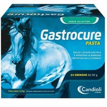 Candioli Gastrocure Pasta für Pferde 24 Spritzen à 50 g-2