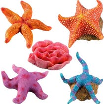 Ferplast Blu 9179 Aqua Mini 3 Kunstharzartikel für die Aquariumdekoration-1
