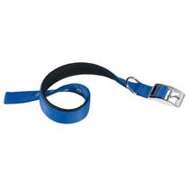 Ferplast Daytona C Nylonhalsband mit weicher blauer Polsterung für Hunde C20/43
