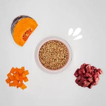 Hygge Mini-Kroketten mit Schweinefleisch, Kurkuma und Kürbis für Hunde kleiner Rassen, 5-kg-Beutel-3