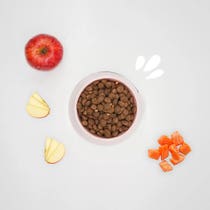 Hygge Lachs-Apfel-Kroketten für Hunde mittlerer und großer Rassen, 15-kg-Beutel-2