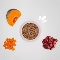 Hygge Midi Schweinefleisch- und Kürbiskroketten für Hunde mittlerer und großer Rassen, 3-kg-Beutel-2