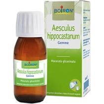 Boiron Aesculus Hippocast 60ml Urtinktur-1