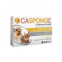 Caspongil 30 Compresse Divisibili-1