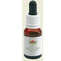 Wedding Bush Australian 15ml olio essenziale-1