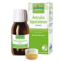 Aesculus Hippocastanum Macerato Glicerico 60ml -1