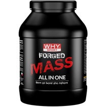 Why Sport Forged Mass Cacao 1 Kg-1