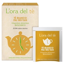 Weißer Tee Pai Mu Tan Bio 20 Filter -1
