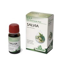 Salvia Foglie Olio Essenziale Puro 10ml-2
