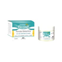 Golasept Flu Propoli Salbe und Balsam 50 ml-2