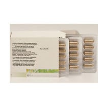 Sprulina maxima Pulver 60 Kapseln -1