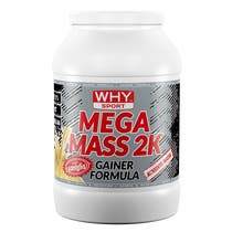 Why Mega Mass 2K Gainer Formula Vaniglia-2